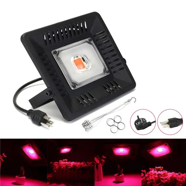 allesxl-12339688