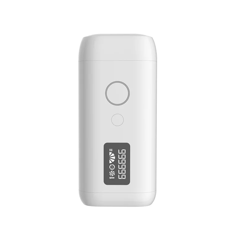 allesxl-12491412