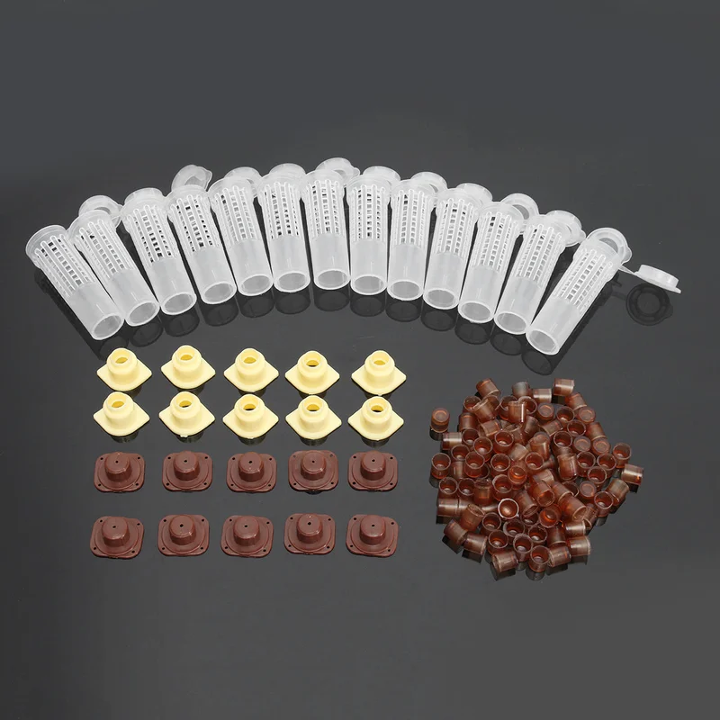 allesxl-22751274