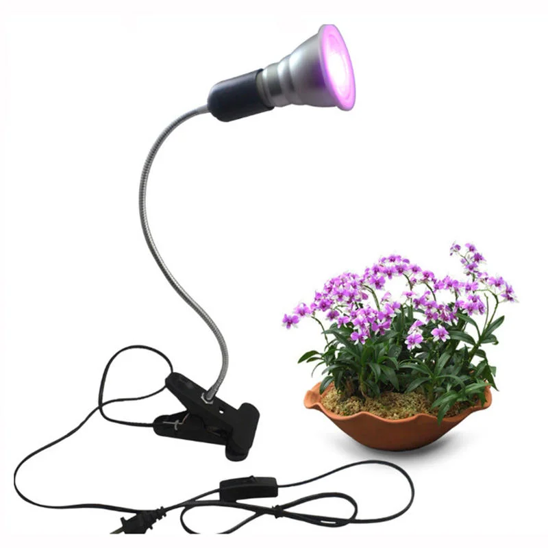 allesxl-23046400