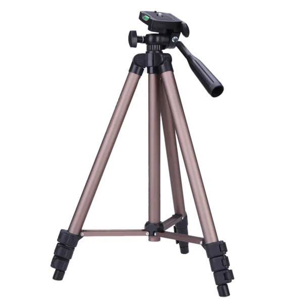 allesxl-23177504