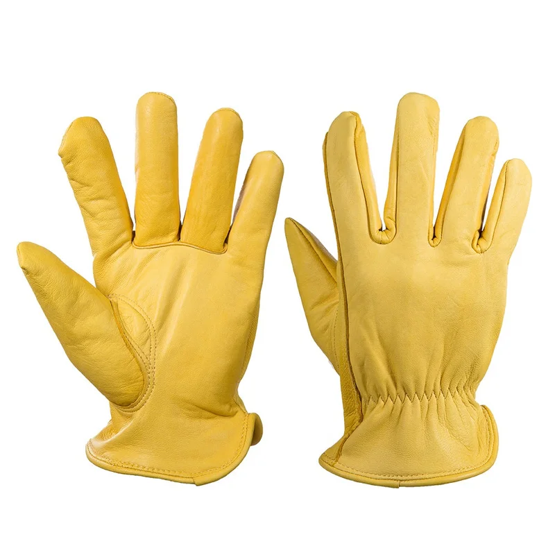 allesxl2443400