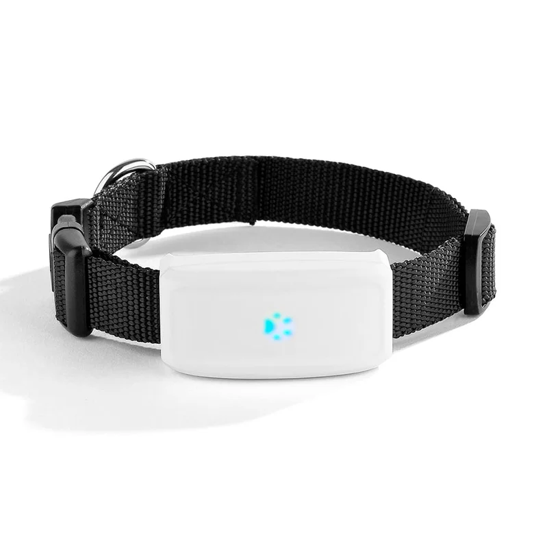 allesxl2527092