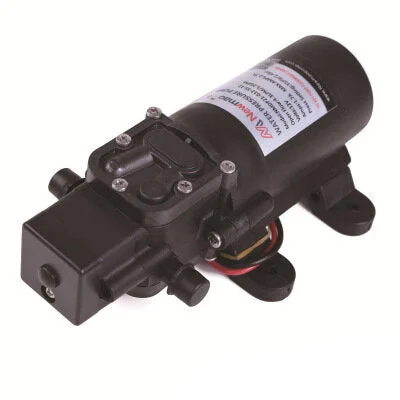 allesxl2595045