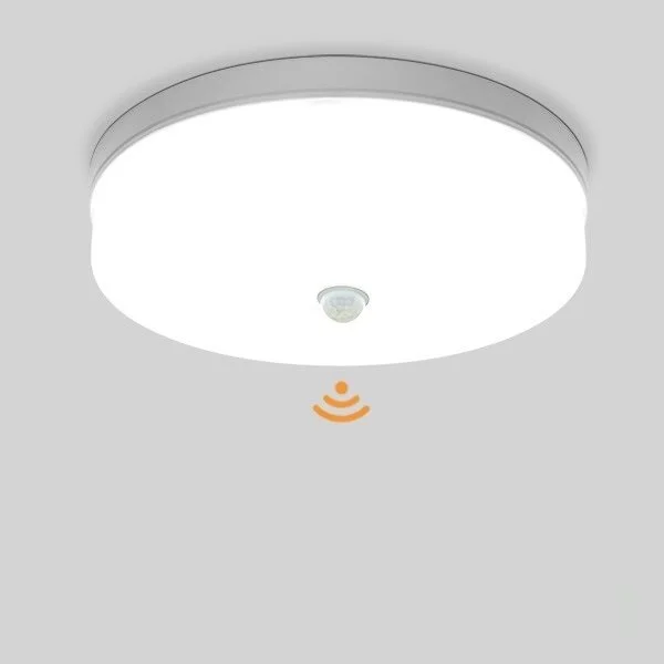 allesxl2612022