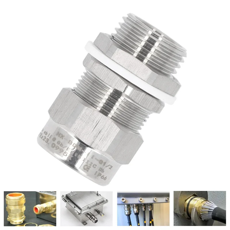 allesxl2674099