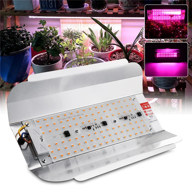 allesxl3048426