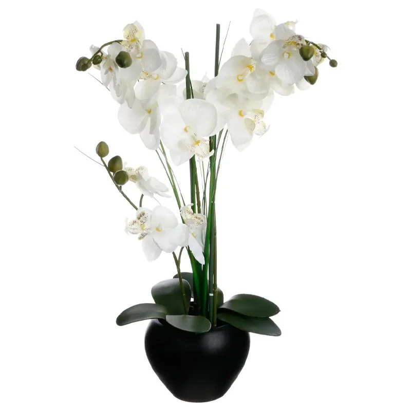 shoppartners2568621