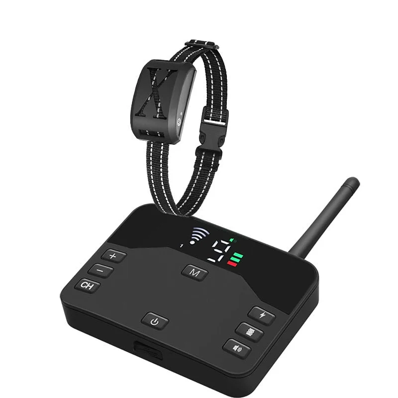 varenzo2549003