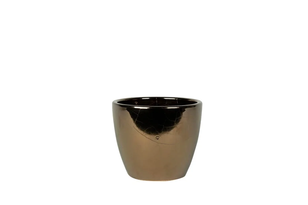 welkoop2724845