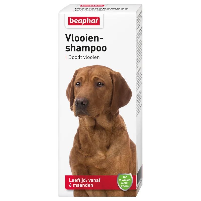 welkoop2862855